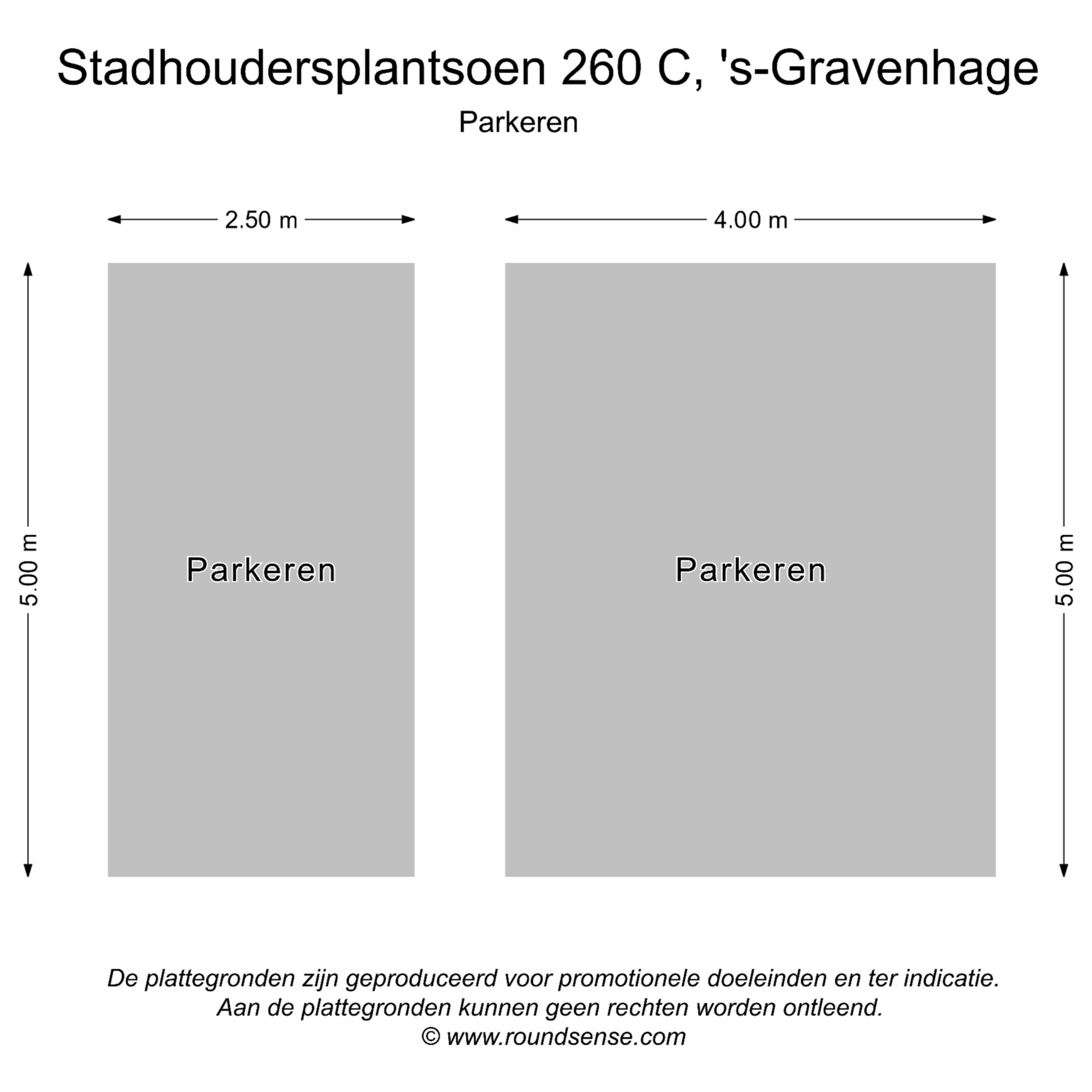 Foto 72 van Stadhoudersplantsoen 260-C