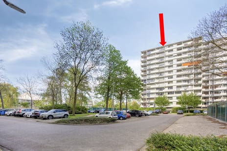 Akkerwinde thumbnail