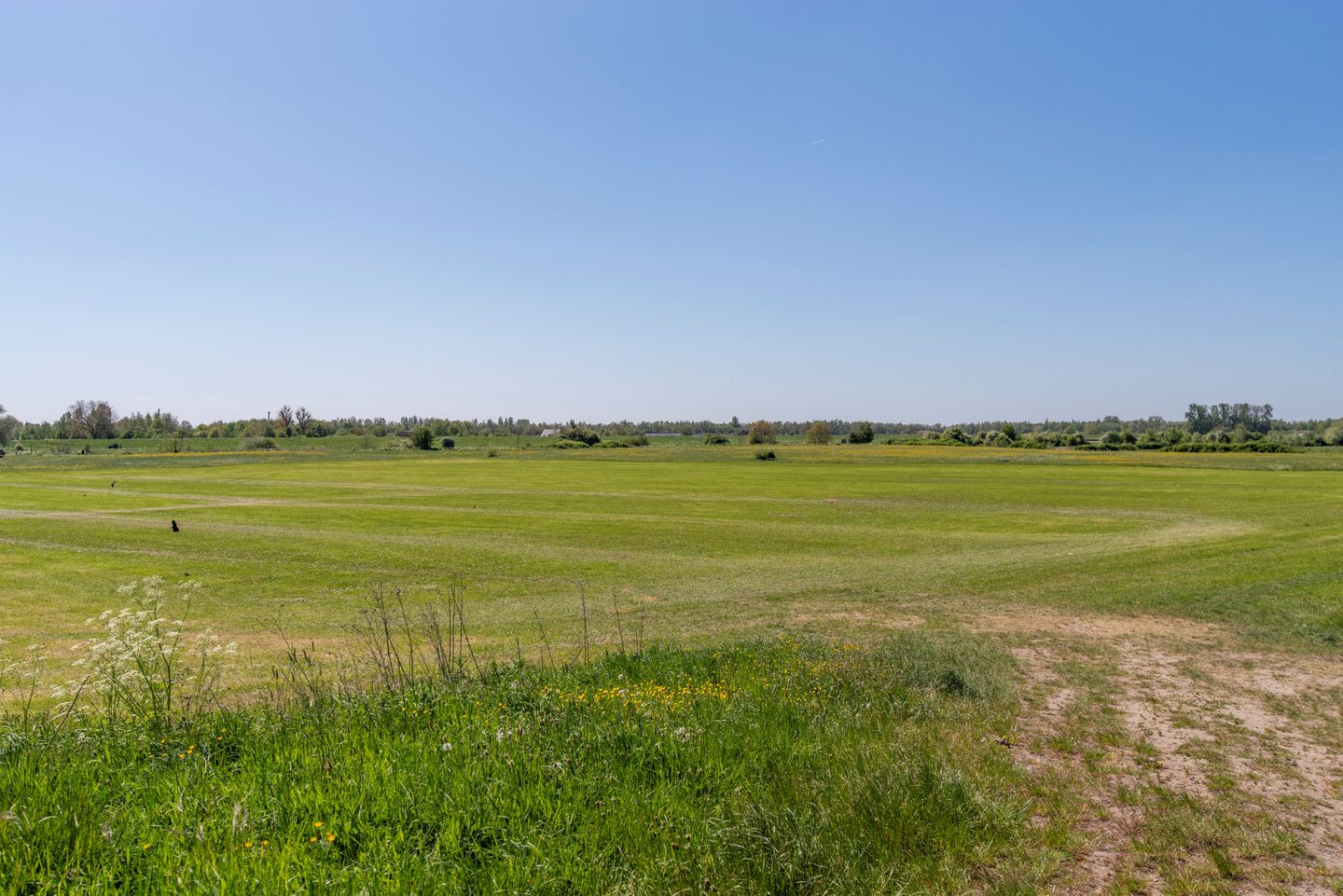 Foto 40 van Frederik van de Paltshof 4