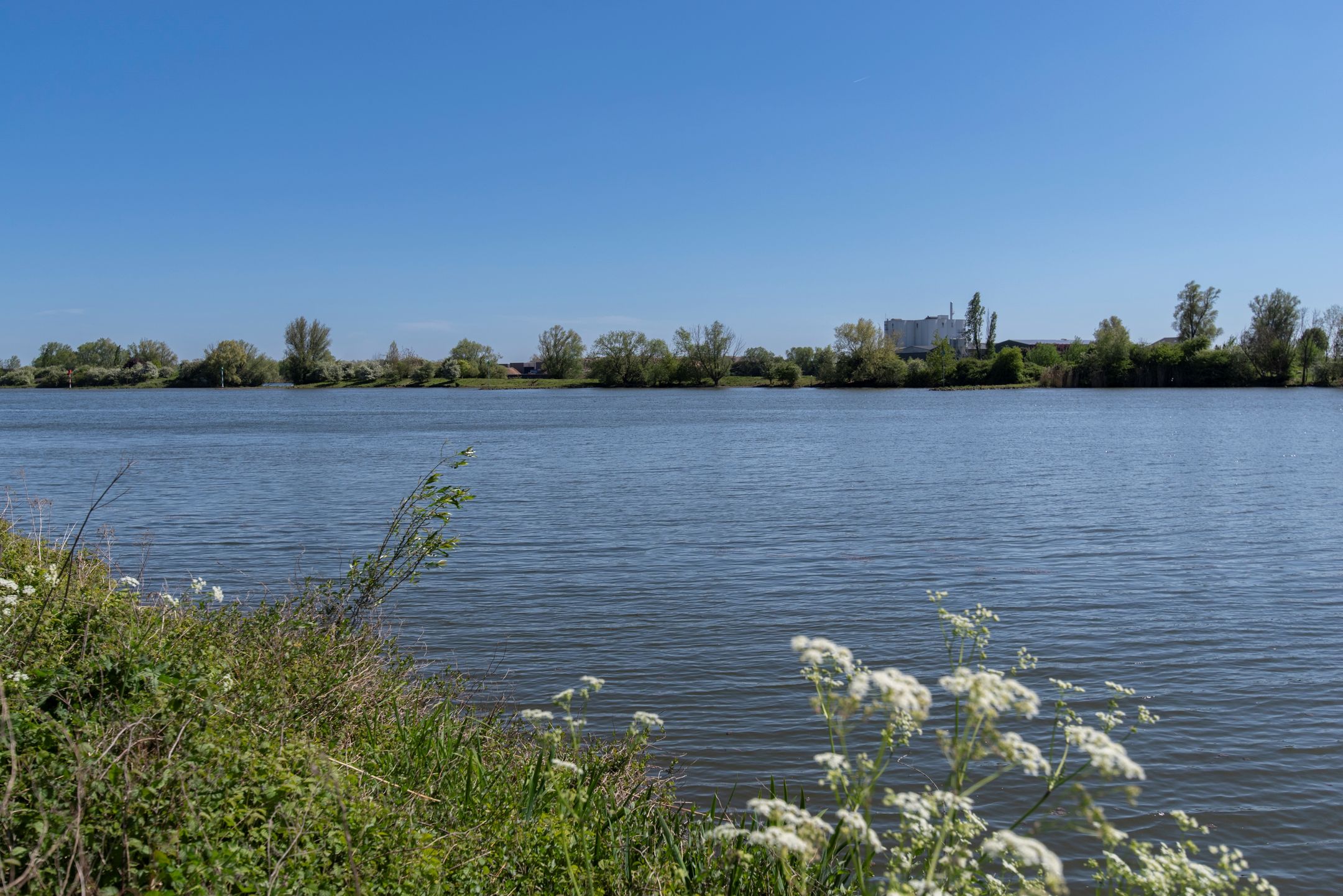 Foto 42 van Frederik van de Paltshof 4