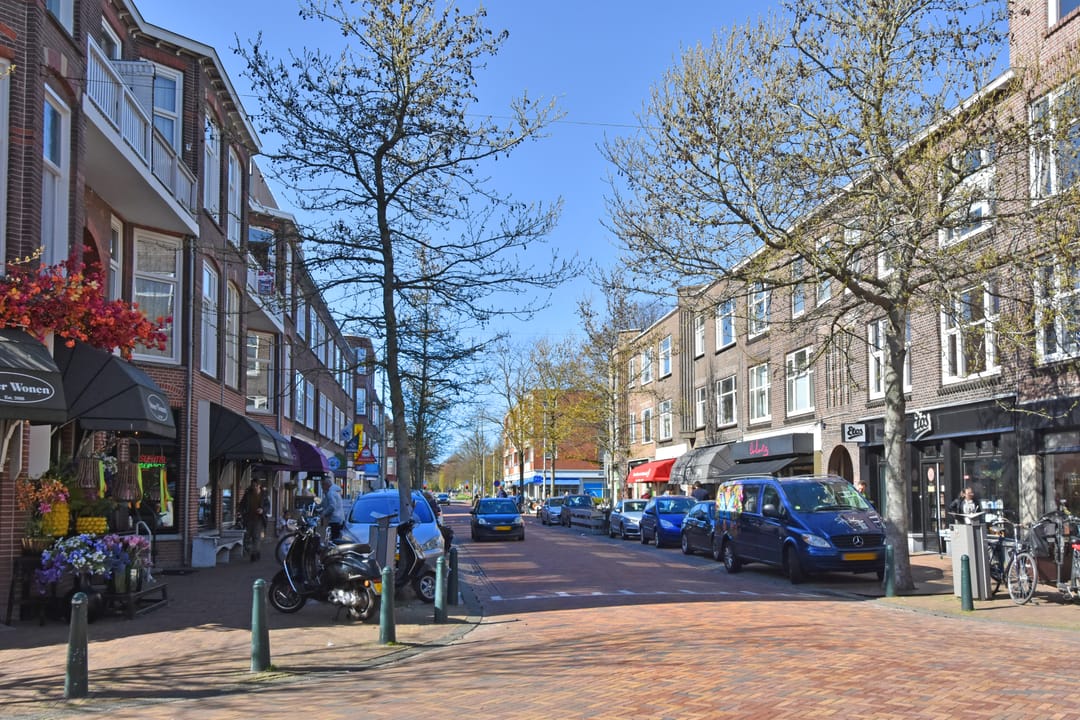 Photo 26 of Hanenburglaan 108