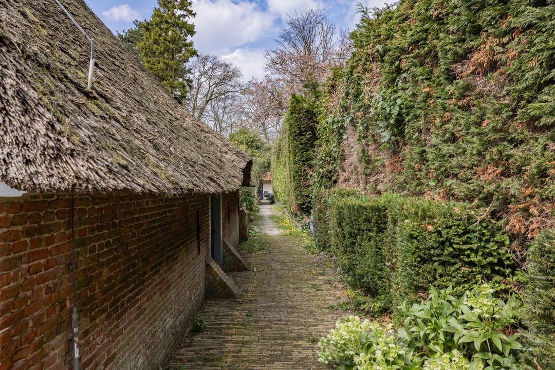 Photo 26 of Bickerslaan 5