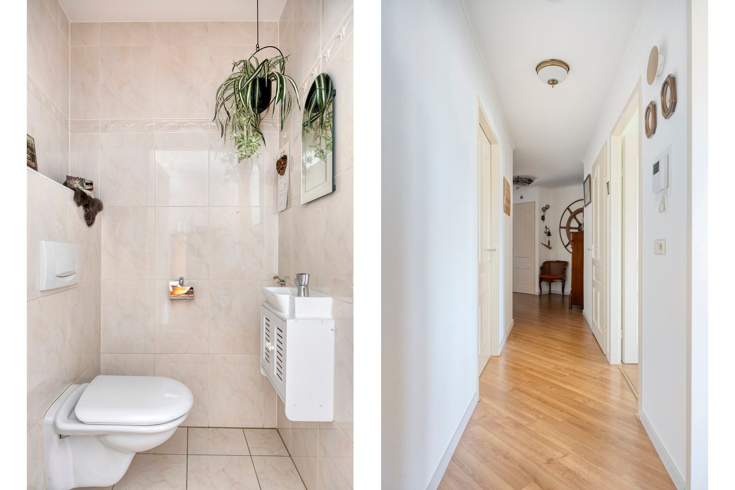 Foto 10 van Arendshof 343