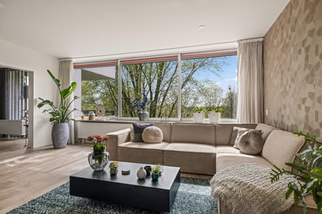 Otelloplaats thumbnail