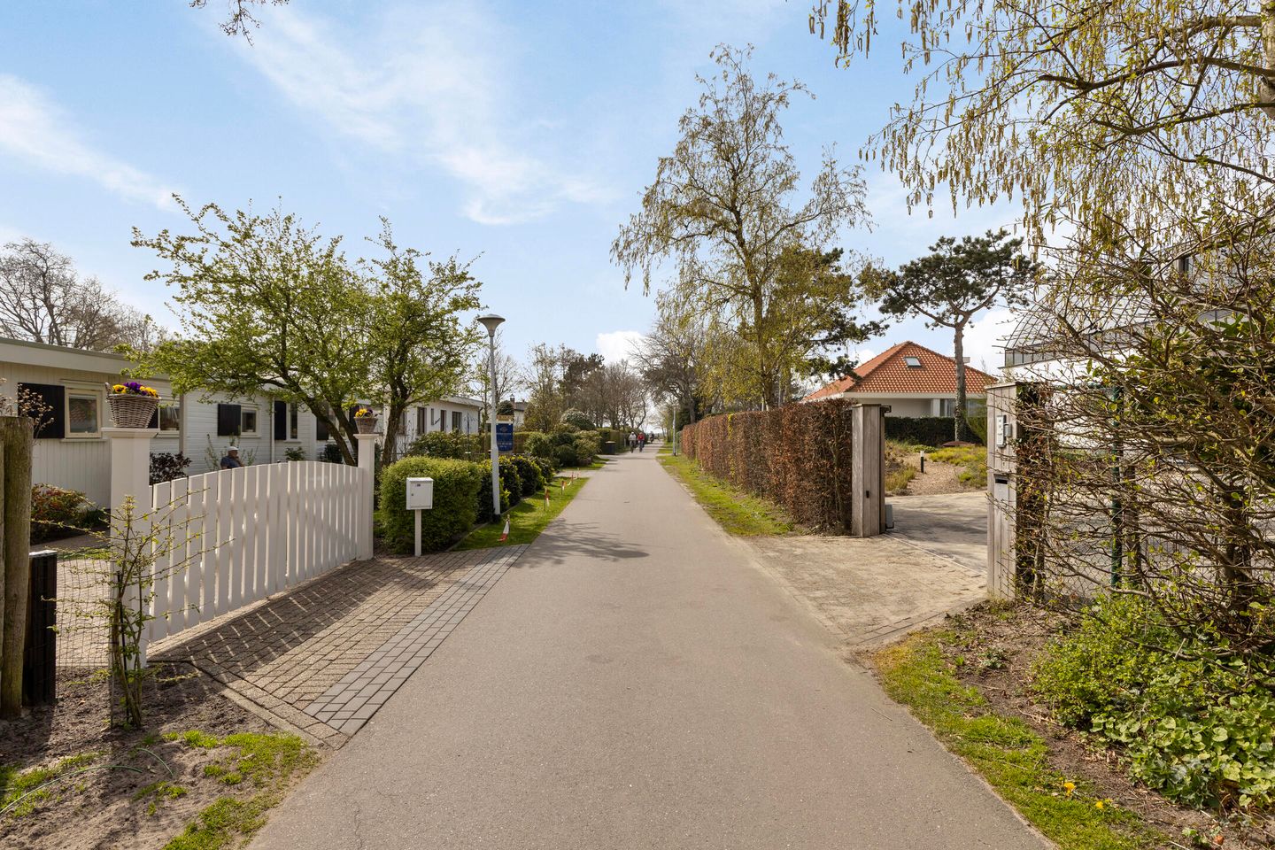 Photo 65 of Duinweg