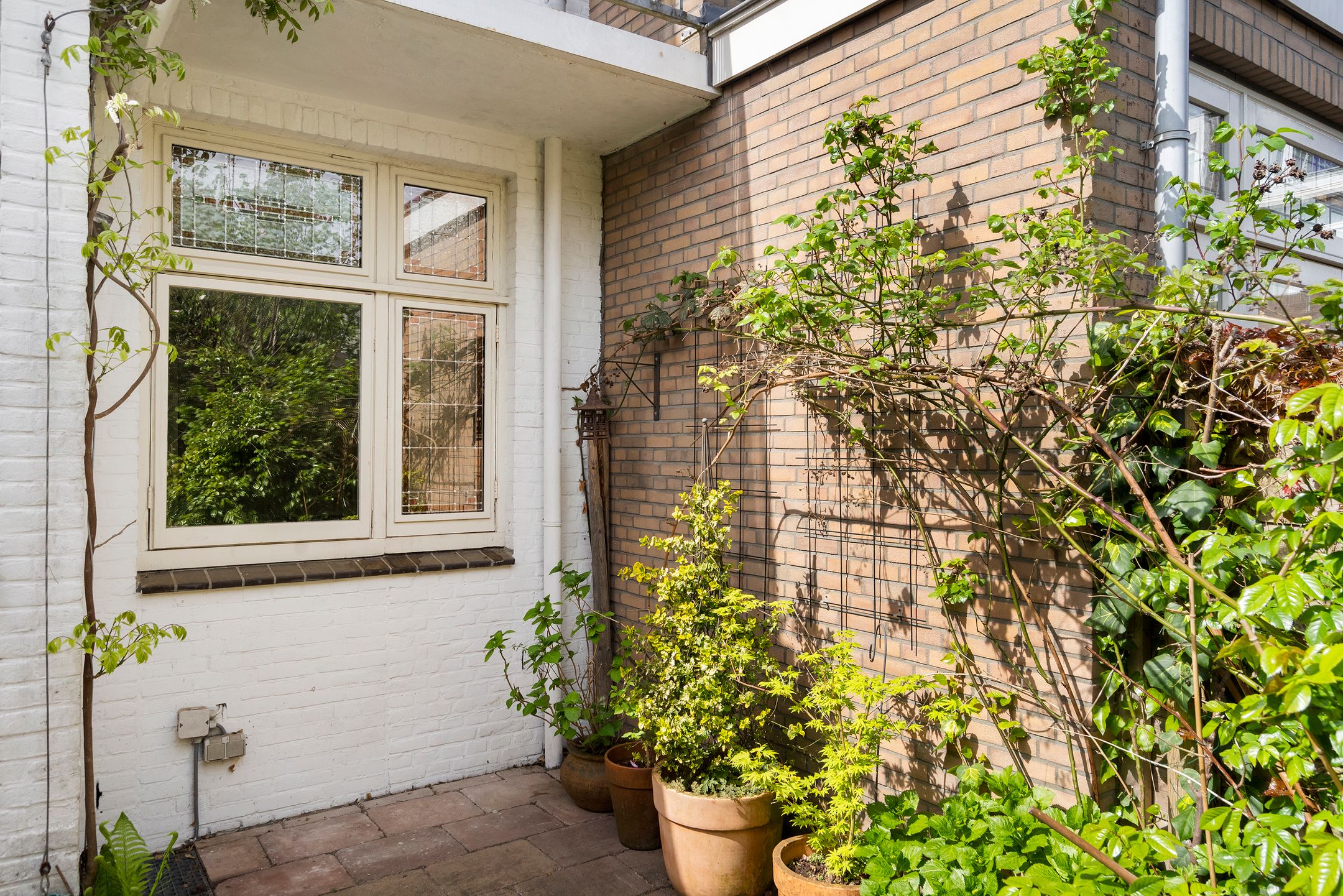 Photo 39 of Kruisbessenstraat 35