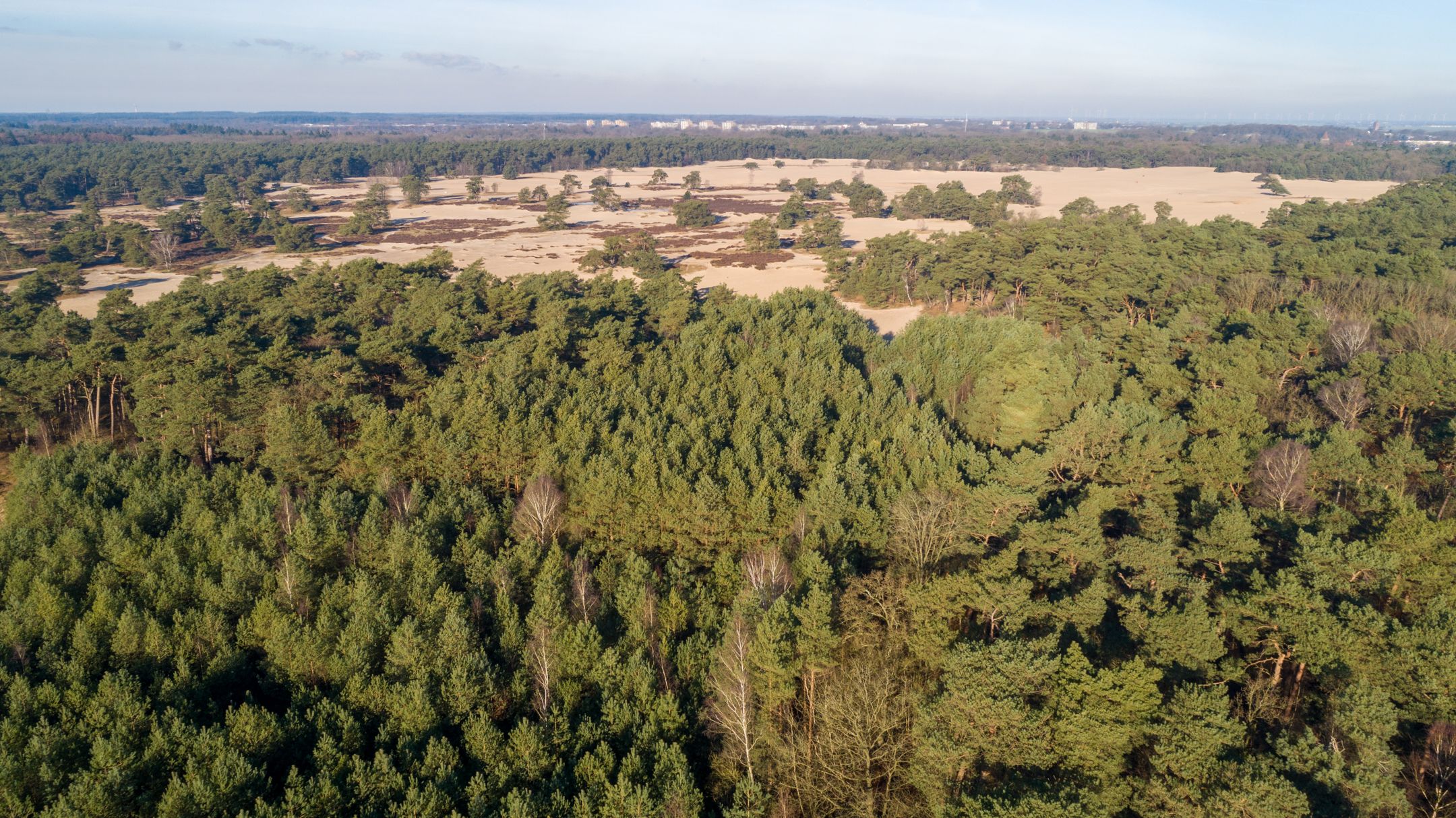 Photo 9 of de Beaufortlaan 46