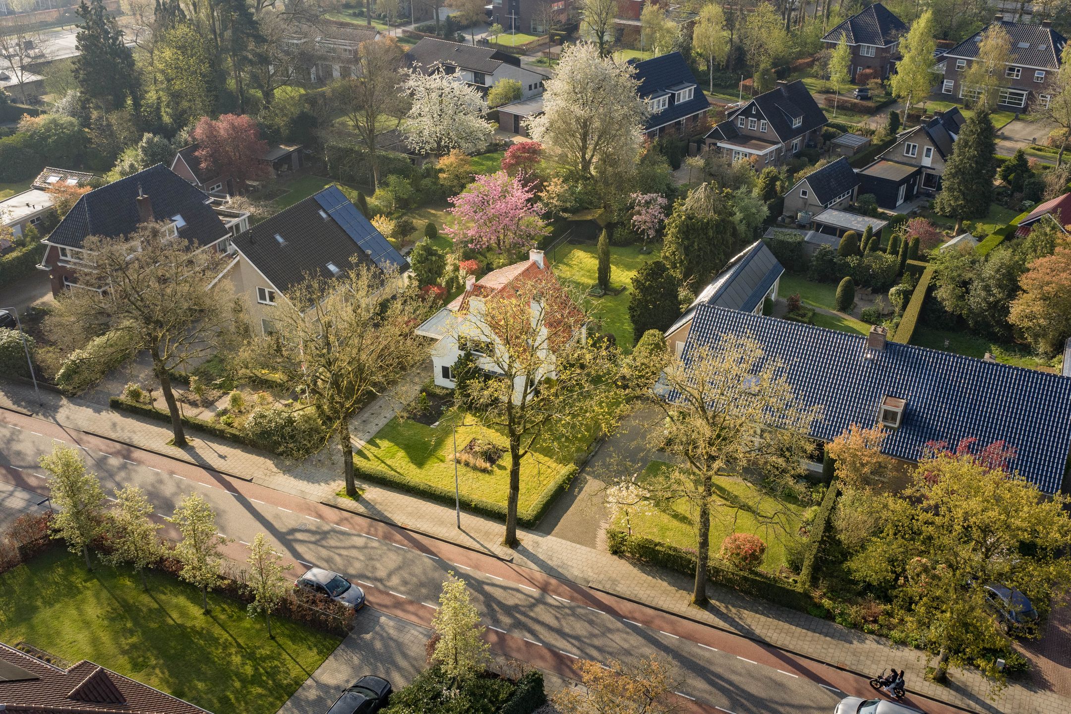 Photo 51 of Burgemeester van der Feltzweg 14