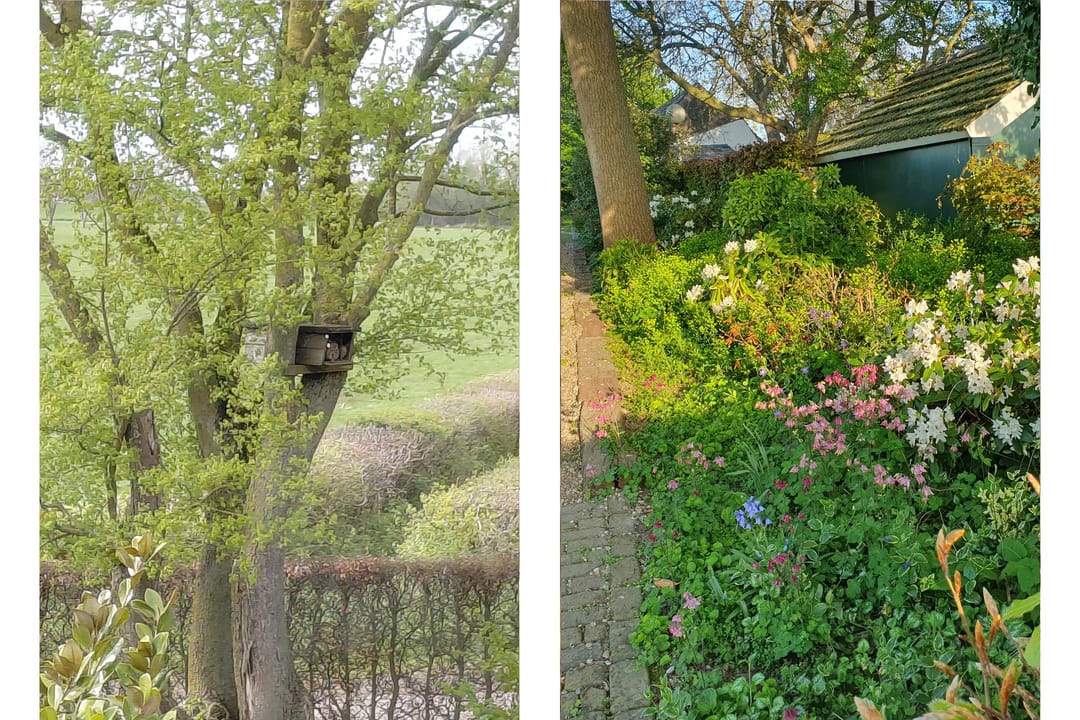 Foto 28 van Houtsestraat 16-A