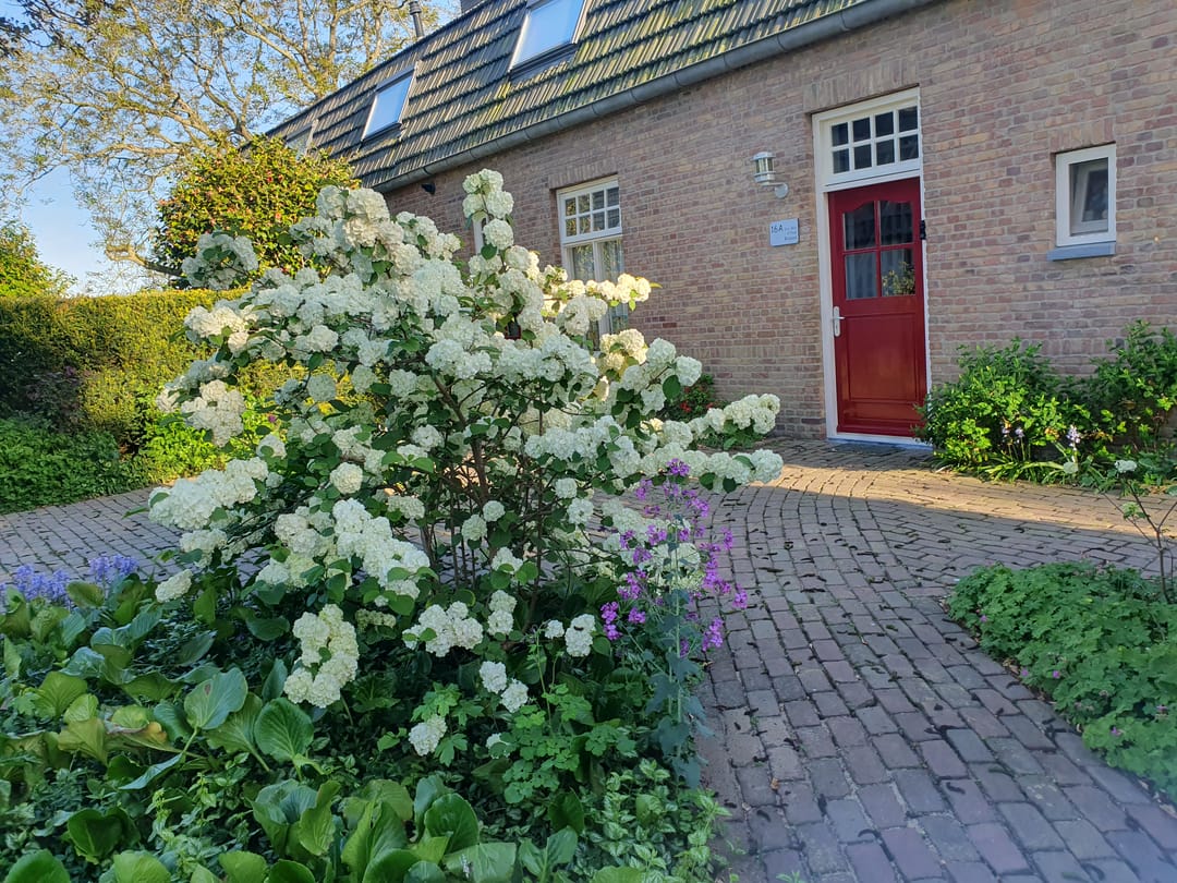 Foto 8 van Houtsestraat 16-A