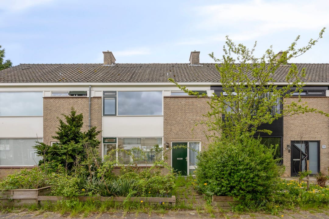 Photo 1 of Ruigezandplantsoen 16