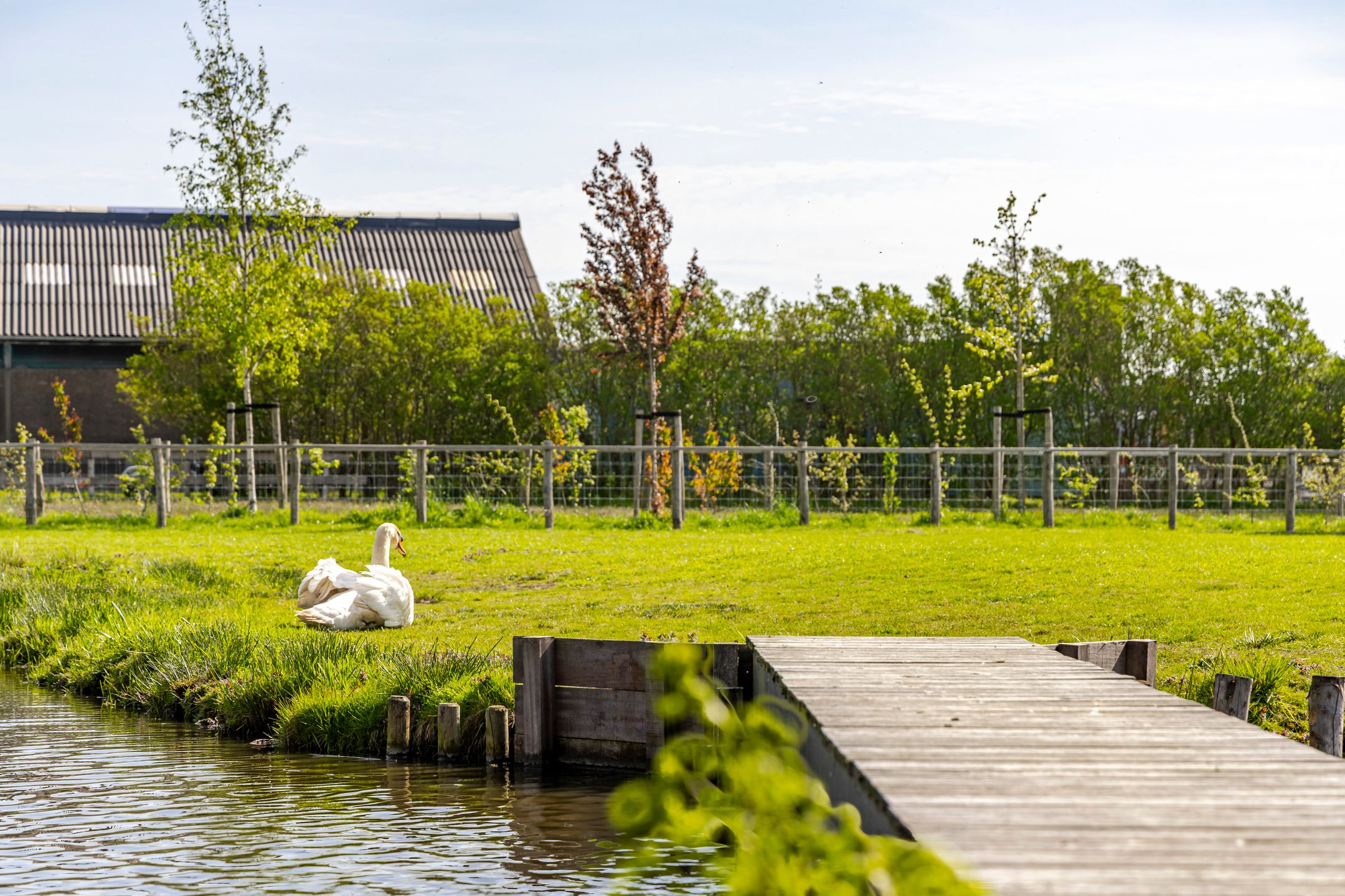 Foto 51 van Muisbroekseweg 24