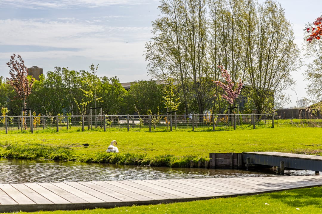 Foto 46 van Muisbroekseweg 24