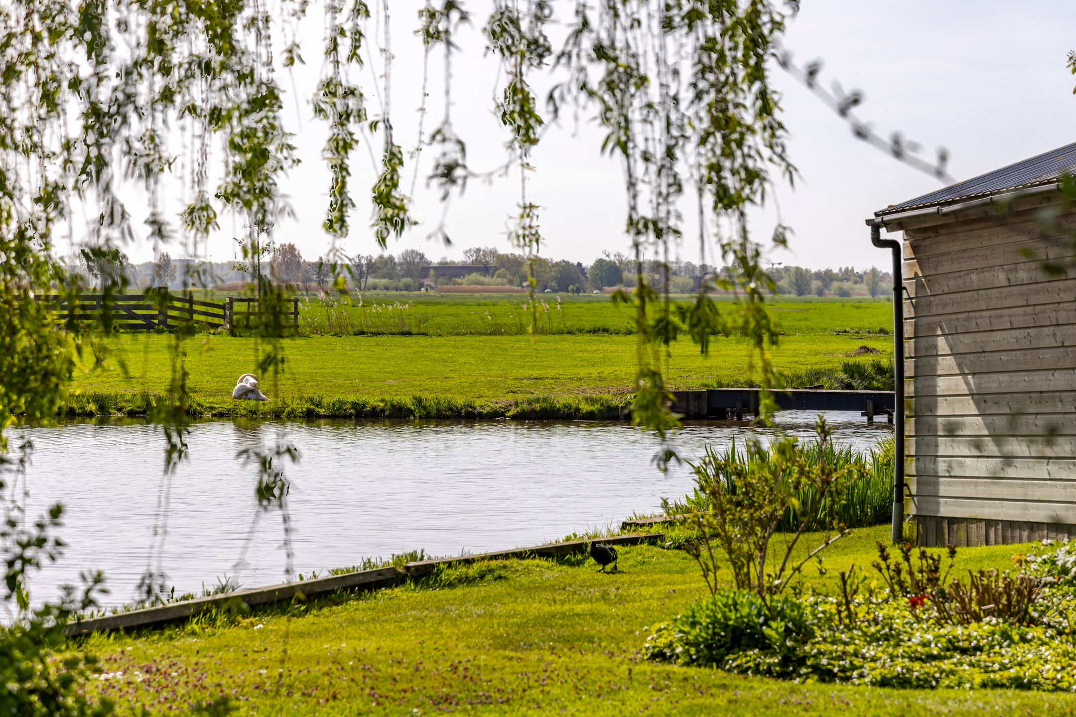 Foto 45 van Muisbroekseweg 24