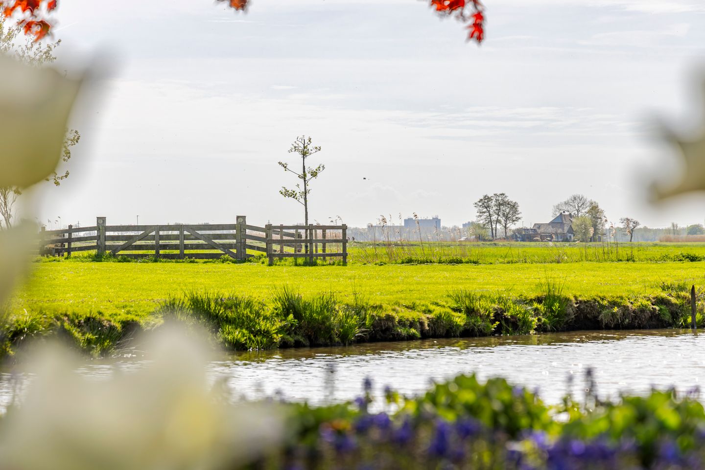 Foto 50 van Muisbroekseweg 24