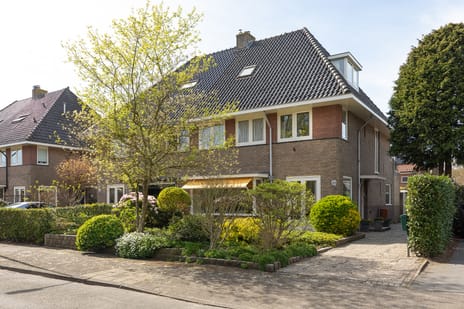 Lijsterbeslaan thumbnail