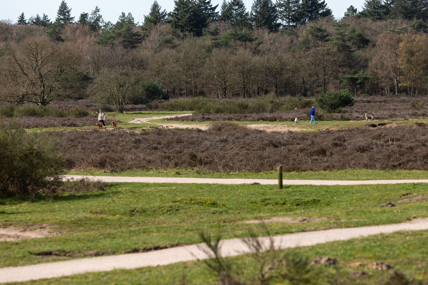 Foto 40 van Lijsterbeslaan 10
