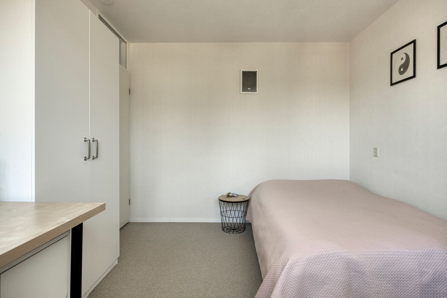 Photo 29 of Goudvink 26