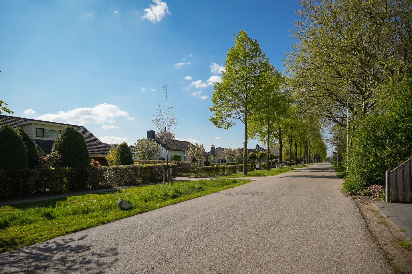 Foto 50 van Lindenlaan 1