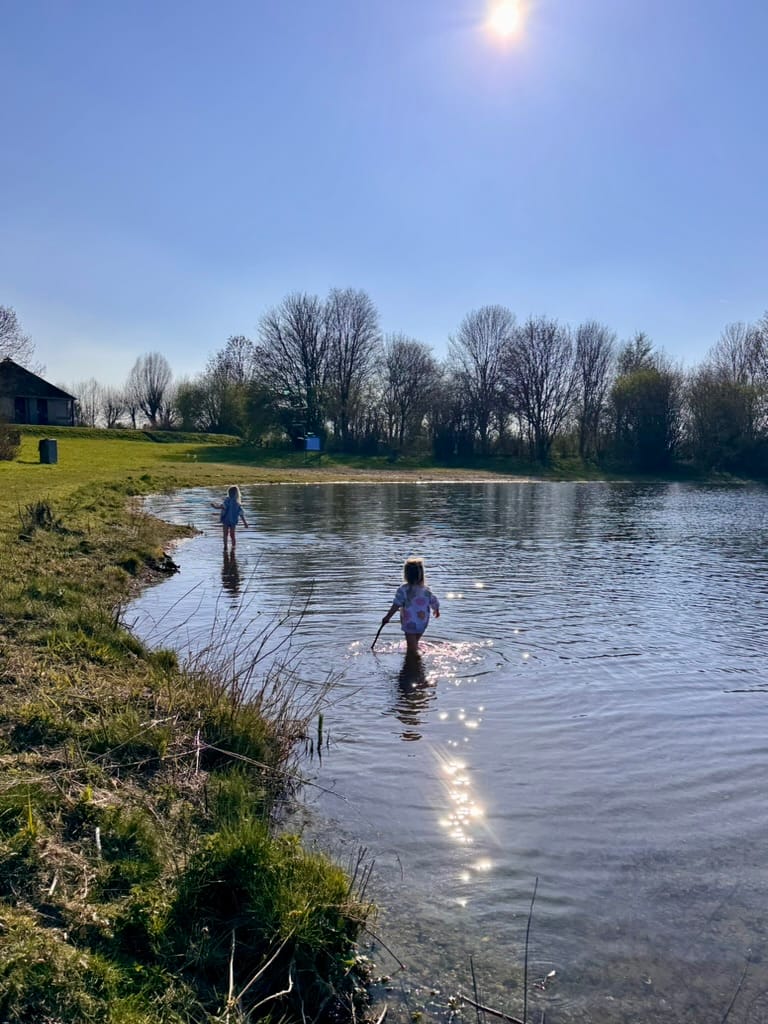 Photo 46 of Kreijendijk 25