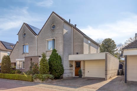 Zwaluwstraat thumbnail