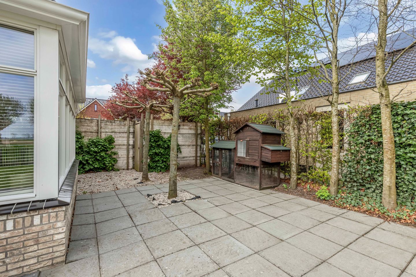 Photo 55 of John Daltonhage 8