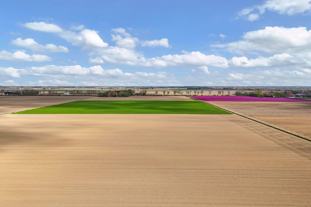 Photo 71 of John Daltonhage 8