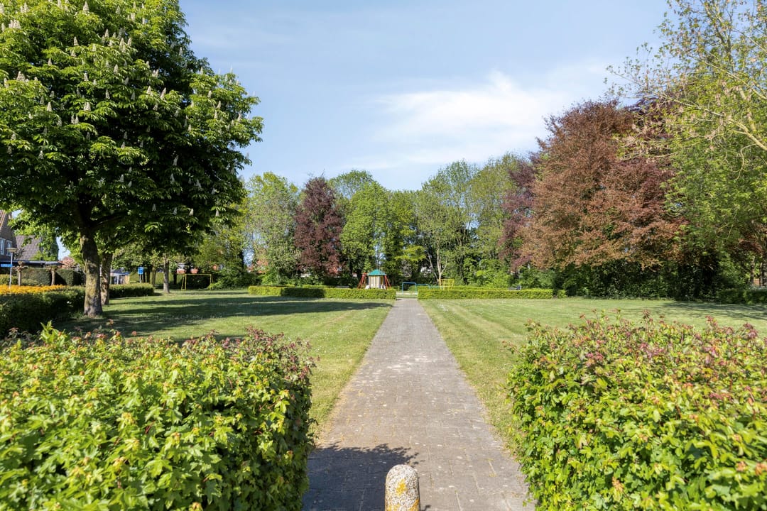 Photo 43 of Groenling 10