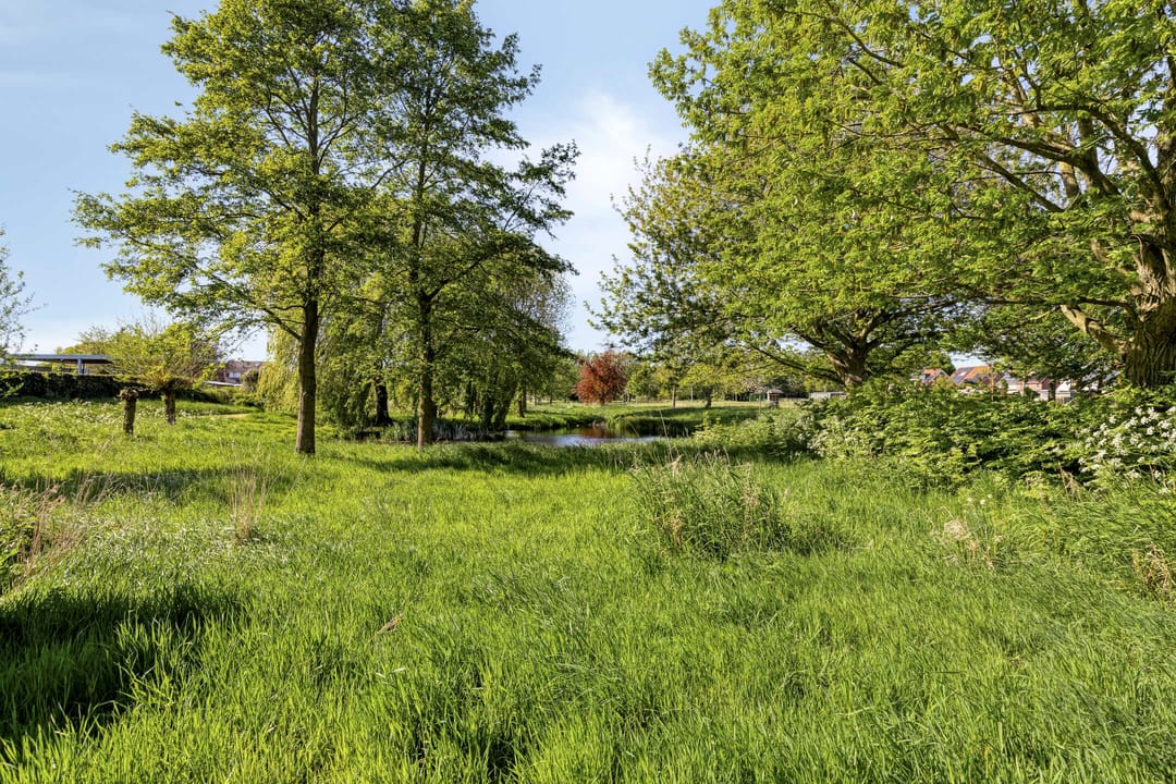 Photo 46 of Groenling 10