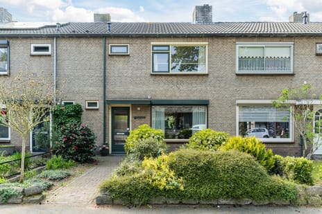 Schepenstraat thumbnail