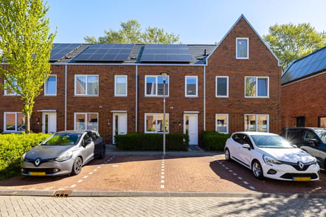Wijnruitstraat thumbnail