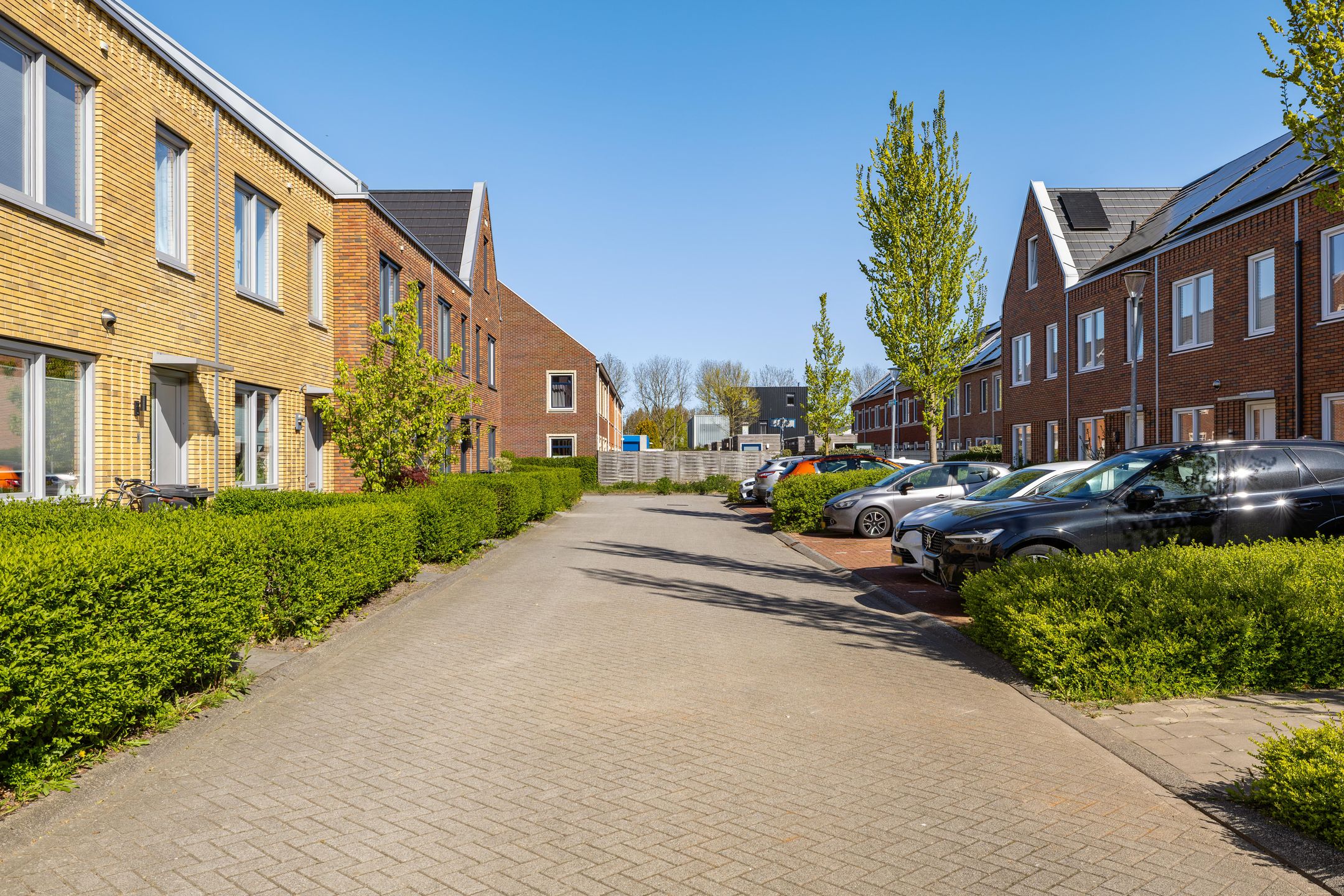 Photo 42 of Wijnruitstraat 8