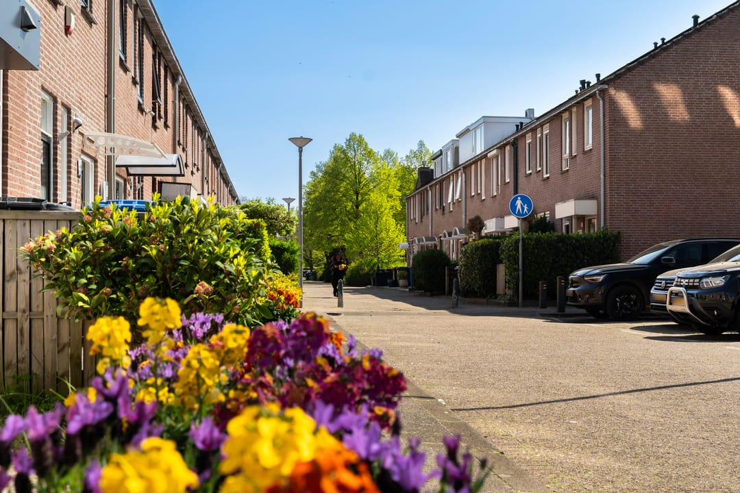 Foto 46 van Adriaan Roland Holststraat 25