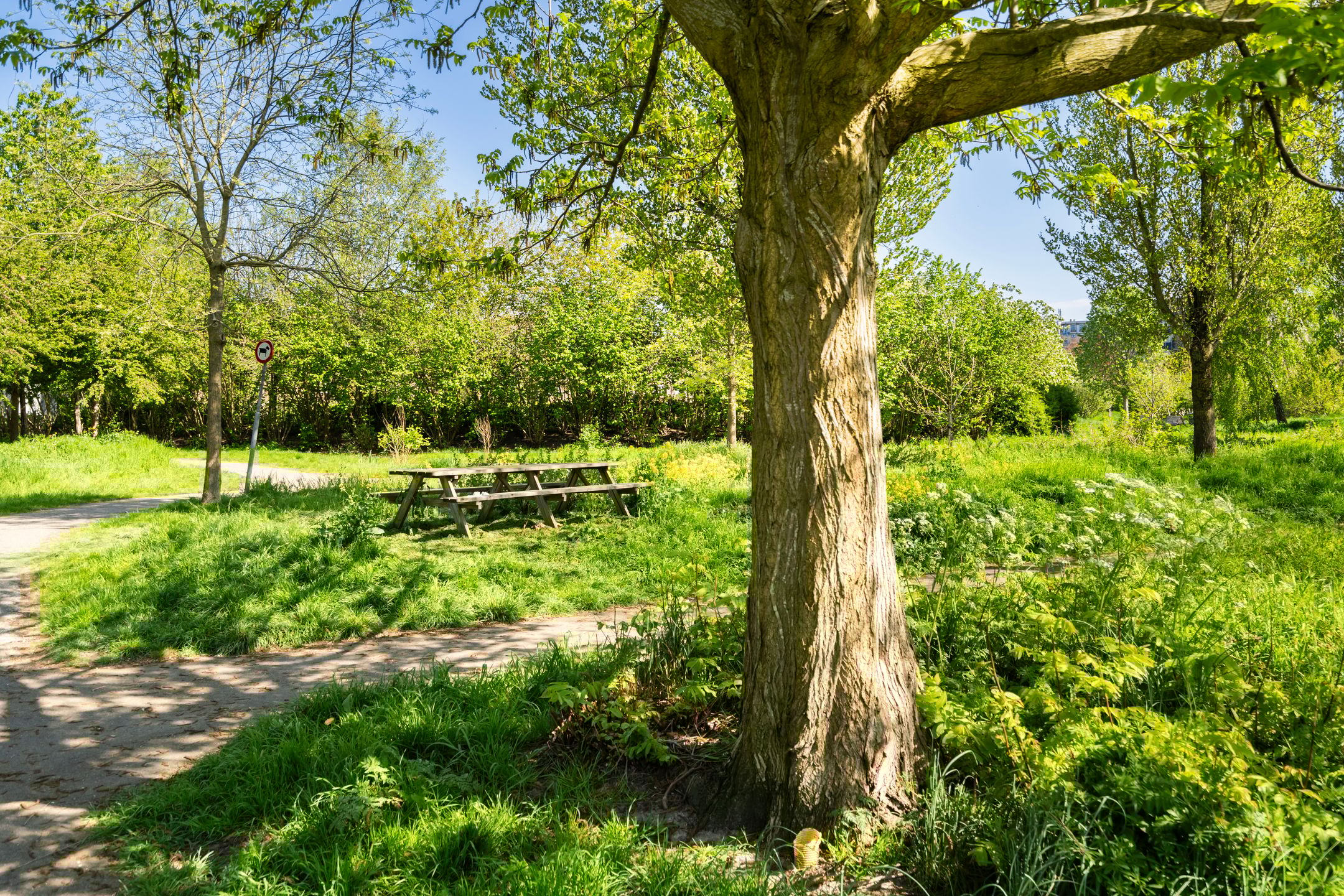 Foto 48 van Adriaan Roland Holststraat 25