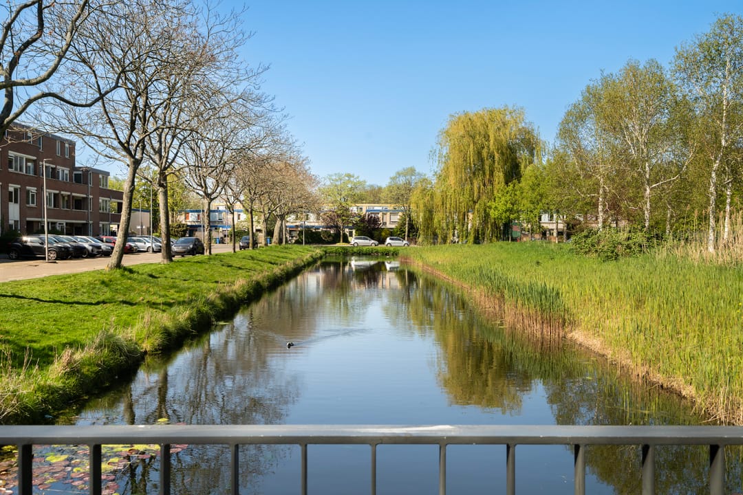 Foto 47 van Adriaan Roland Holststraat 25