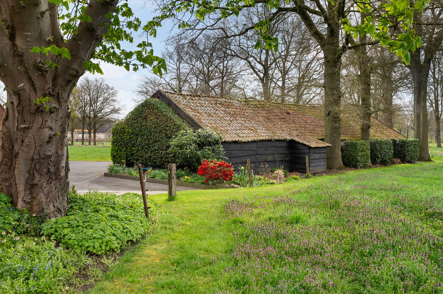 Foto 5 van Petersweg 4