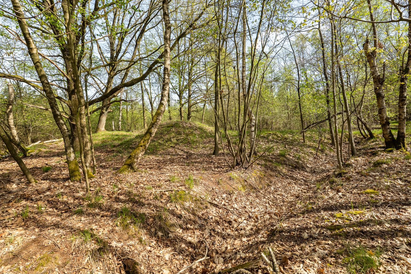 Foto 49 van Ghil 5