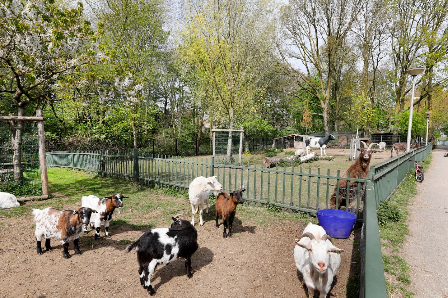 Photo 50 of Maastrichtseweg 94