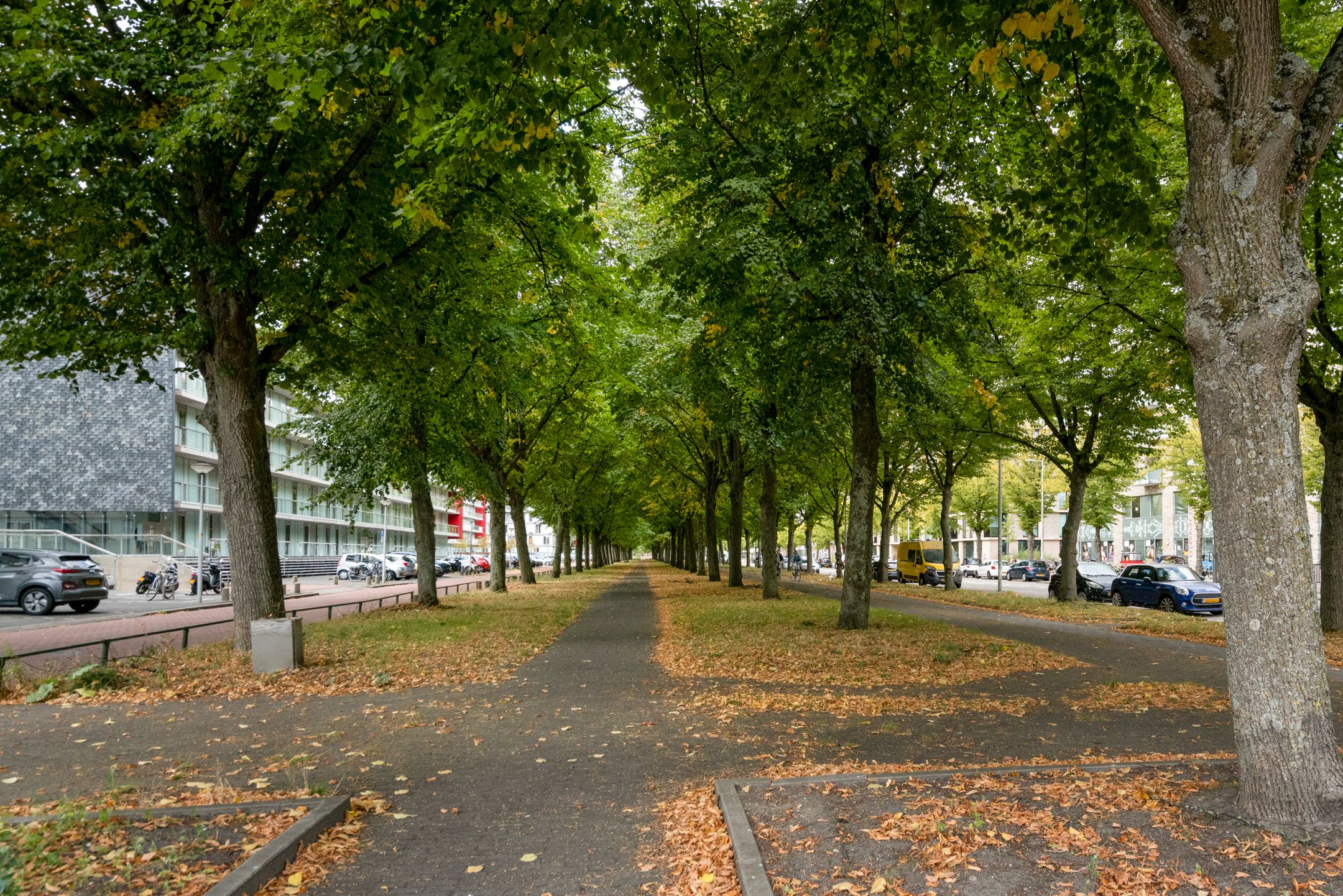 Foto 39 van Osdorper Ban 707