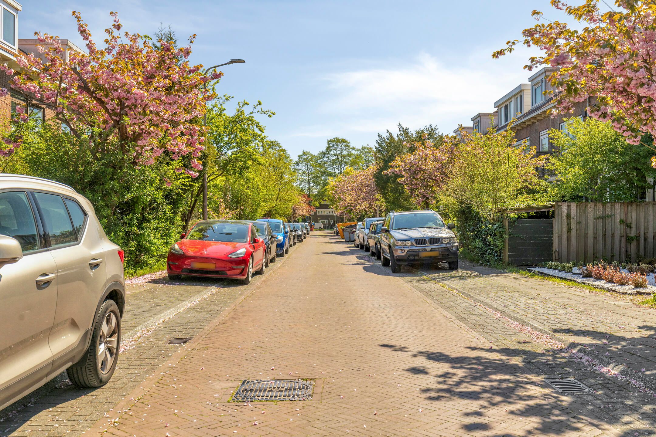 Foto 30 van Iepenrodelaan 14-BV