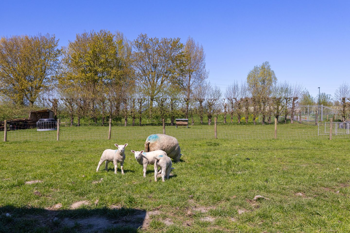 Photo 35 of Stijgbeugel 71