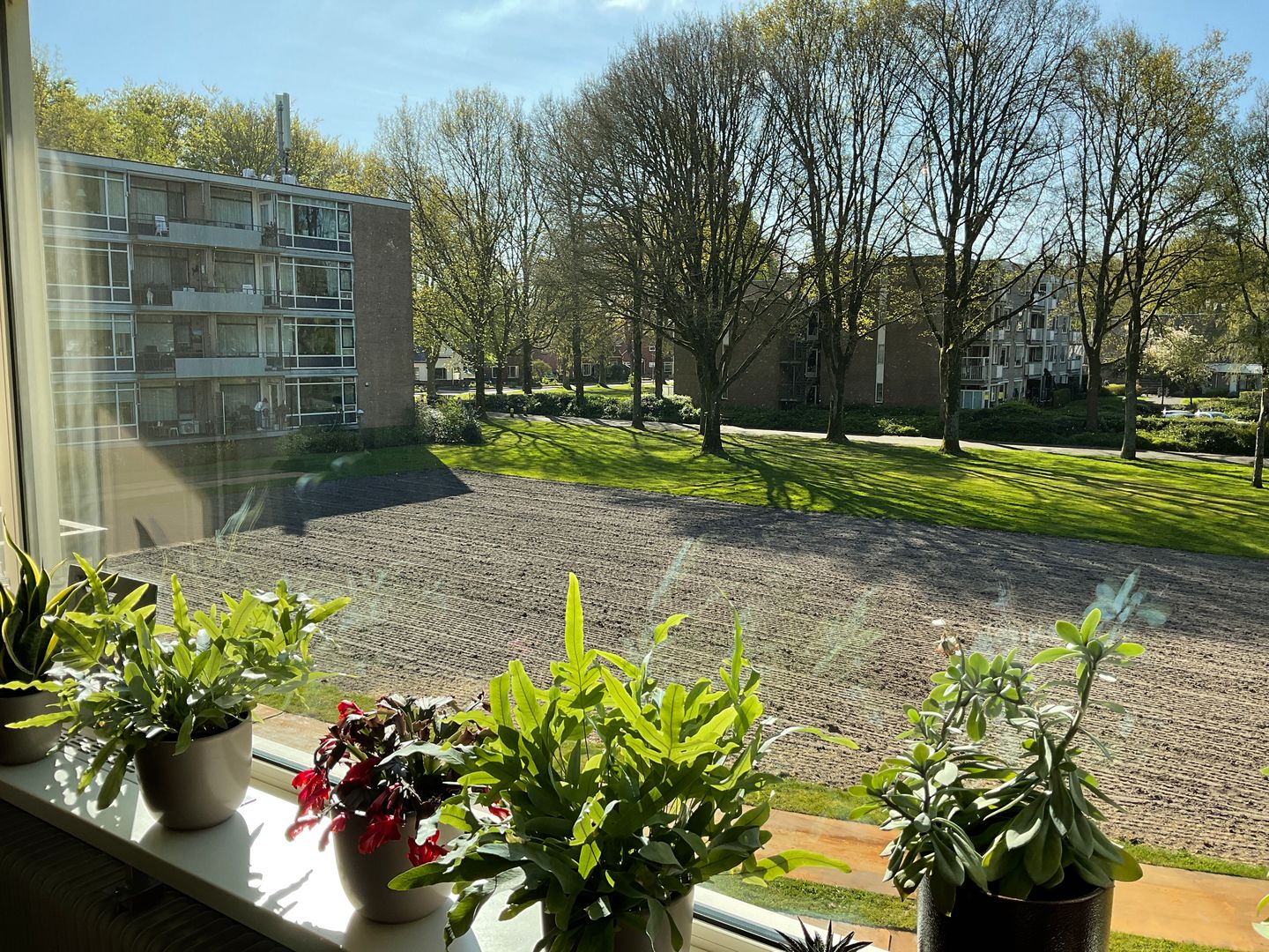 Foto 5 van Dingspellaan 33