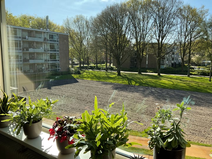 Foto 5 van Dingspellaan 33