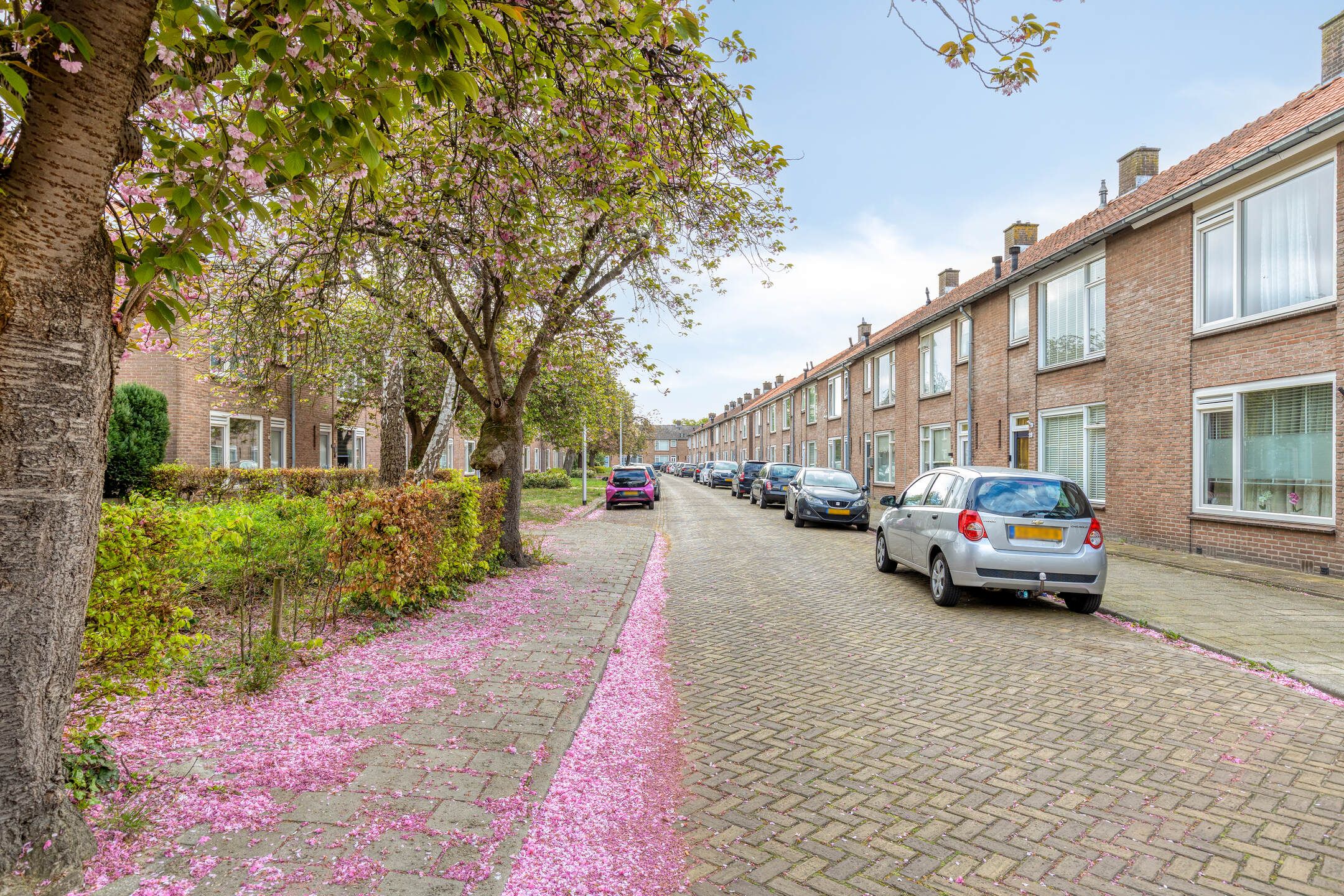 Corner Home with South-Facing Garden in Almelo — 30
