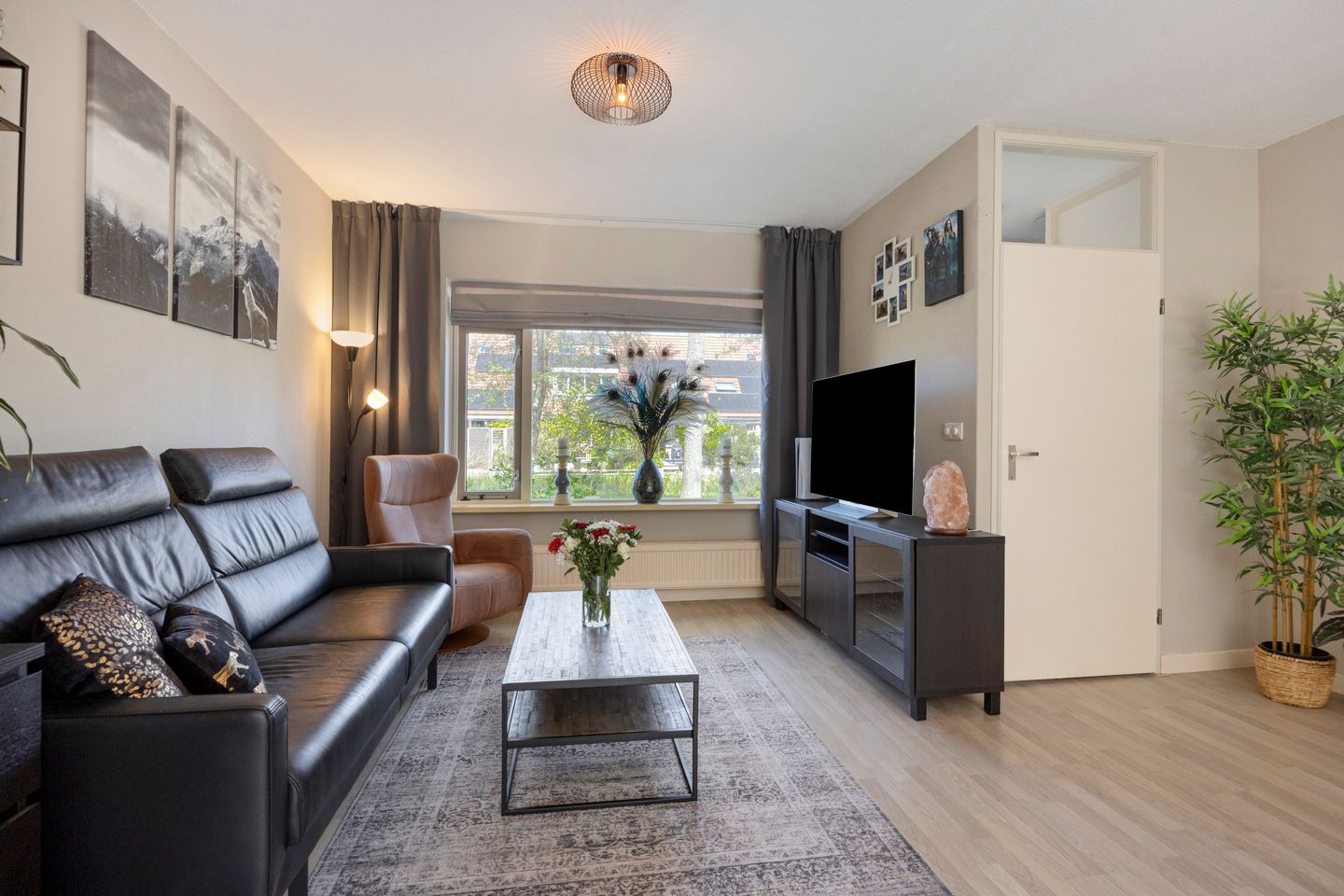 Photo 10 of Steenhouwer 2