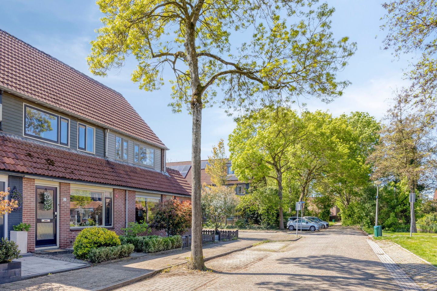 Photo 4 of Steenhouwer 2
