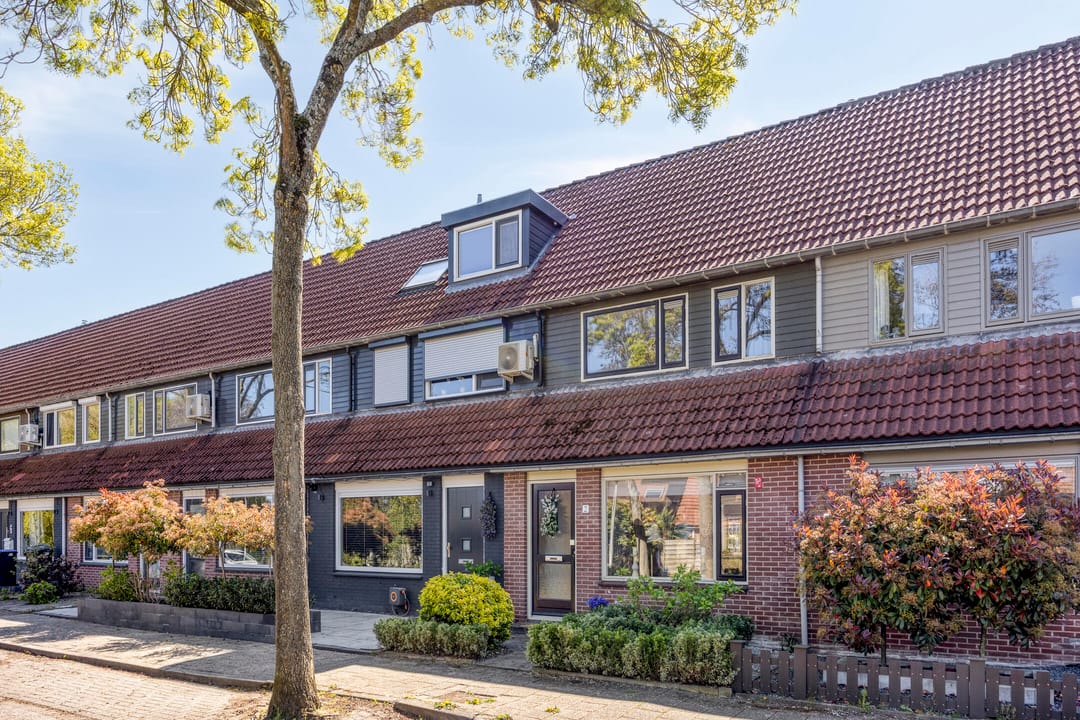 Photo 1 of Steenhouwer 2