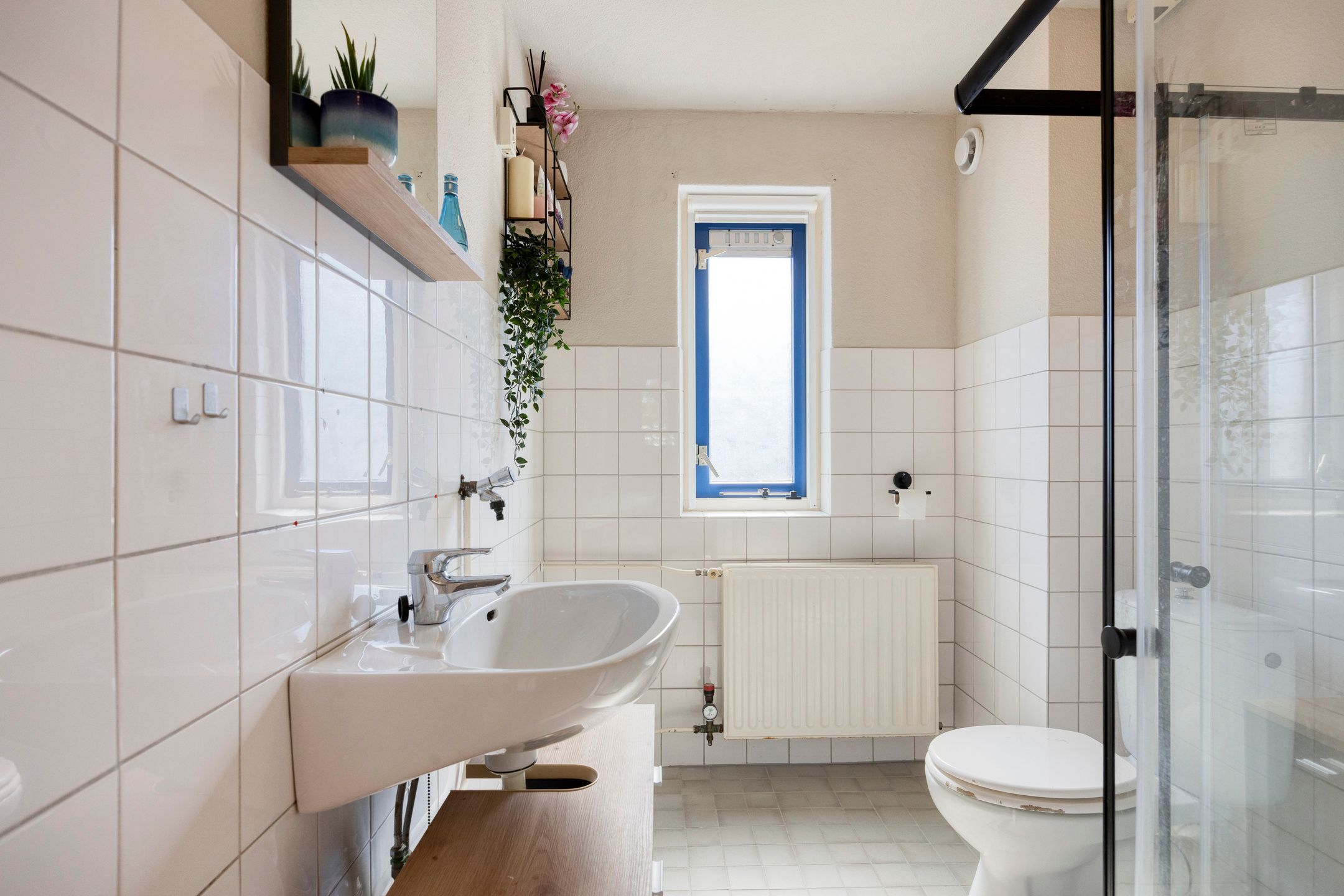Photo 18 of Steenhouwer 2