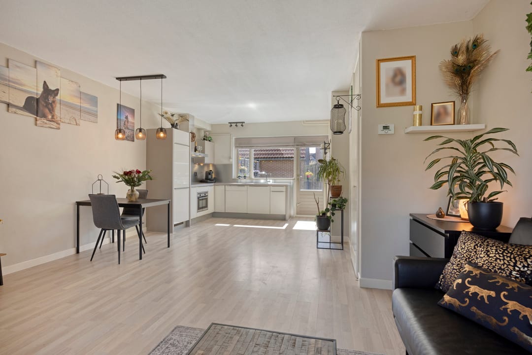 Photo 2 of Steenhouwer 2
