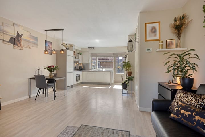 Foto 2 van Steenhouwer 2